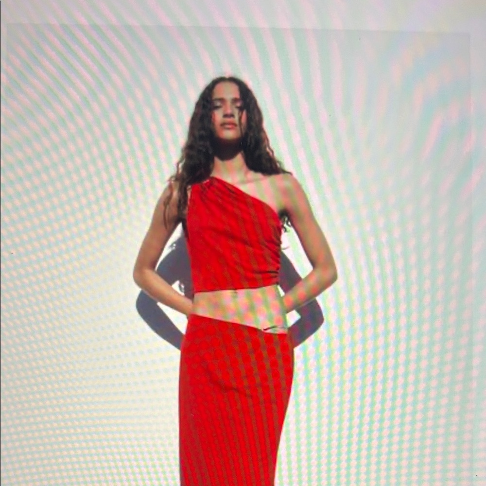 Red ZARA crop top